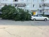 ура.jpg