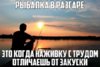 1464601333_7.jpg
