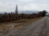 DSC_0845.jpg
