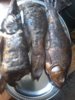 20180203_134658.jpg
